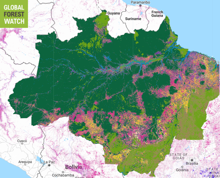 Tree cover loss (pink) and gain (purple) 2000-15, with Brazilian Amazon land cover types.
Source: globalforestwatch.org (https://goo.gl/VPJIQV)